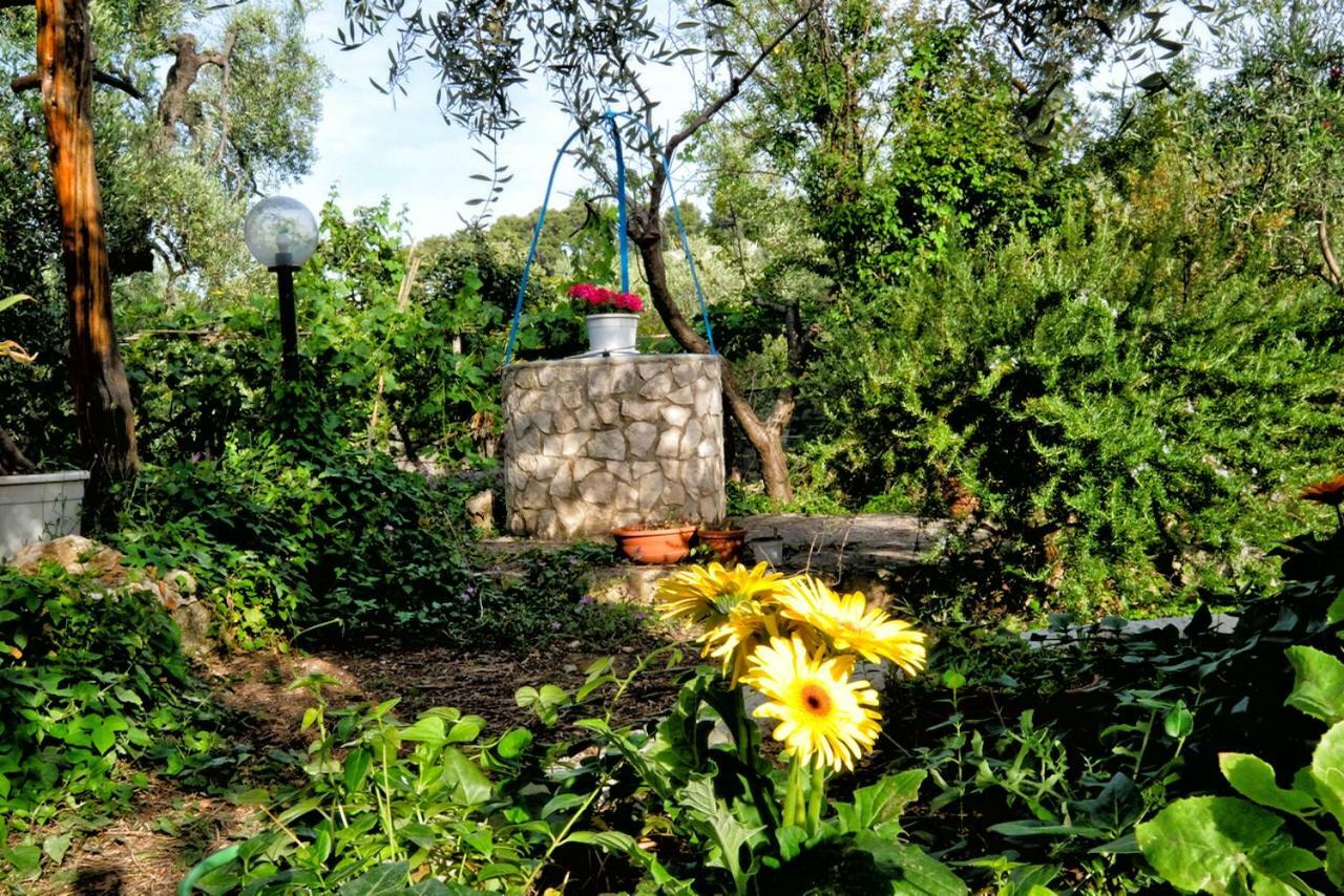 Terra Di Ulivo Villa Vieste Exterior photo